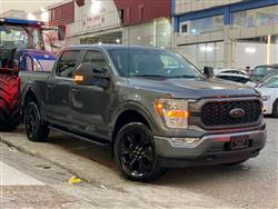 فۆرد F-150